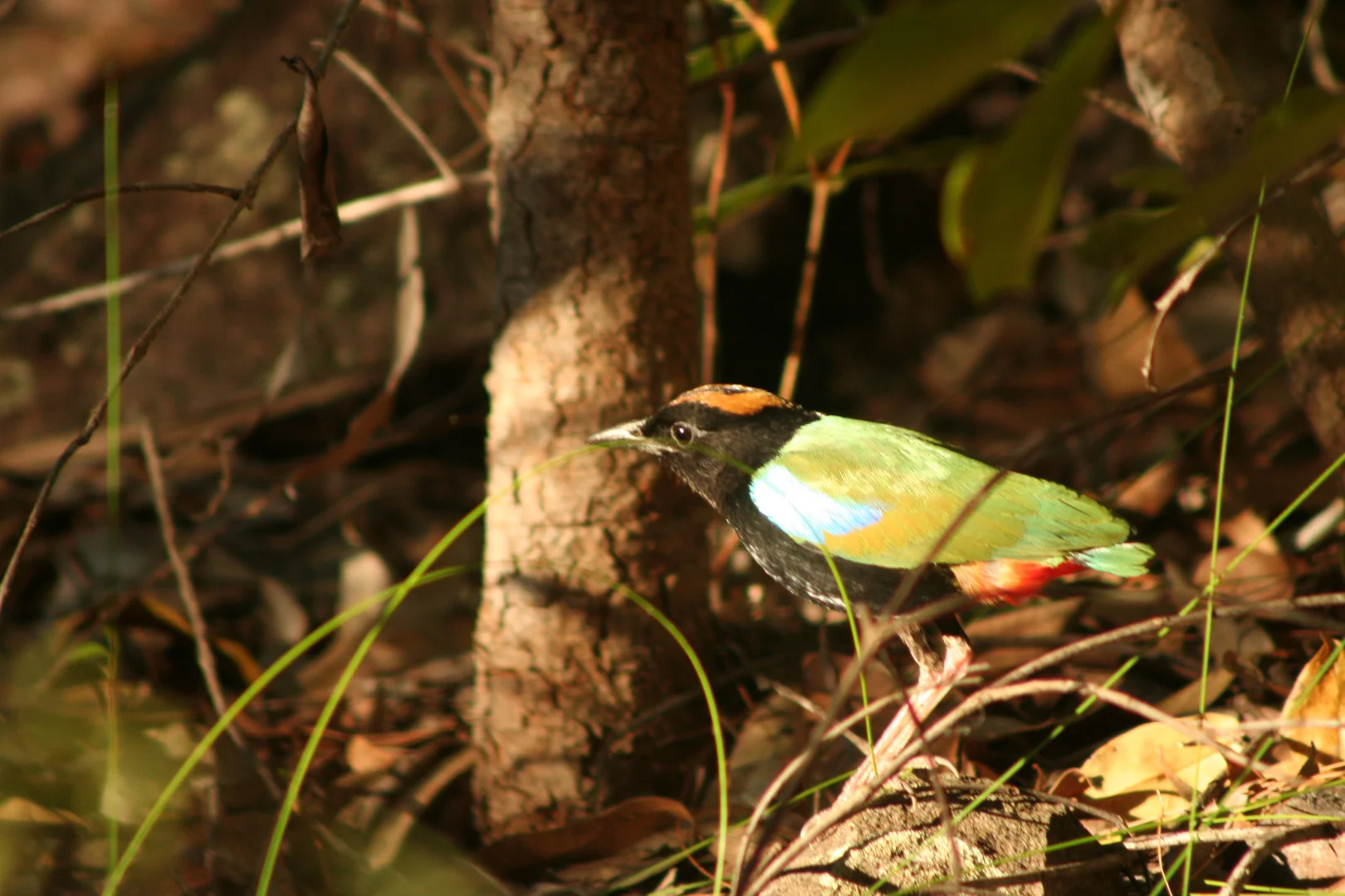 Additional image 15 of 685 Miles Road, Eva Valley NT 0822