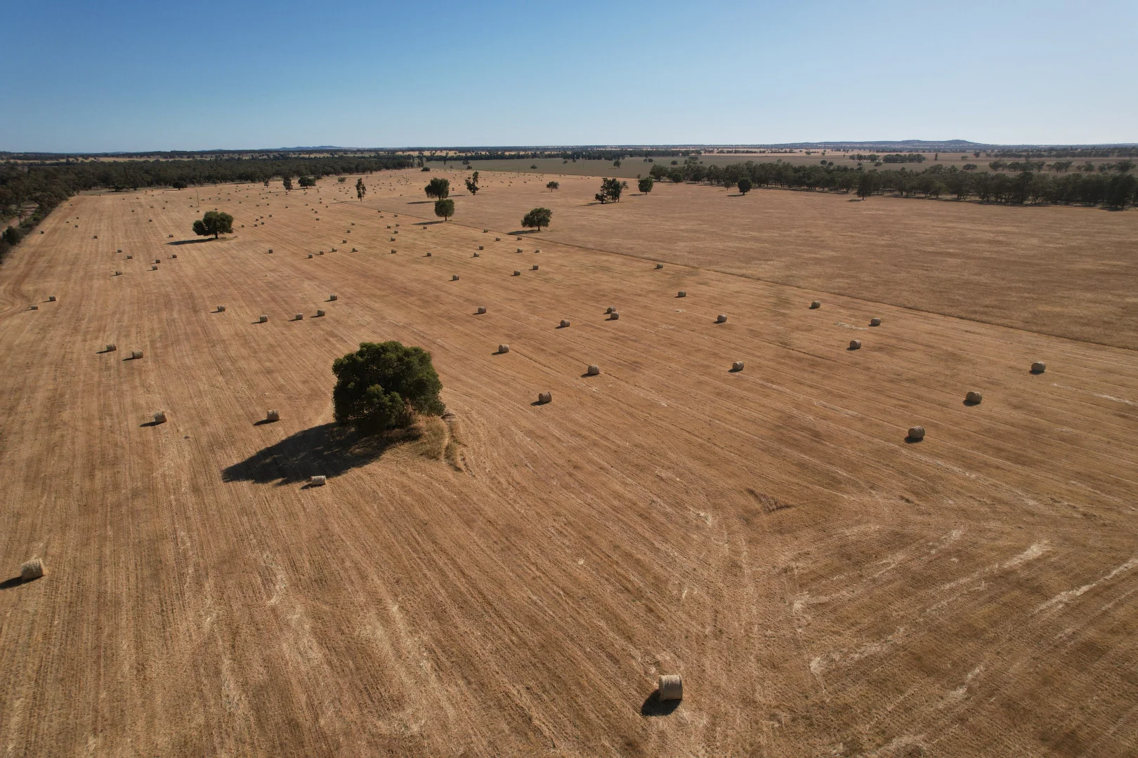 Additional image 16 of 'Boree Glen' 456 Whymarks Lane, Tullibigeal NSW 2669