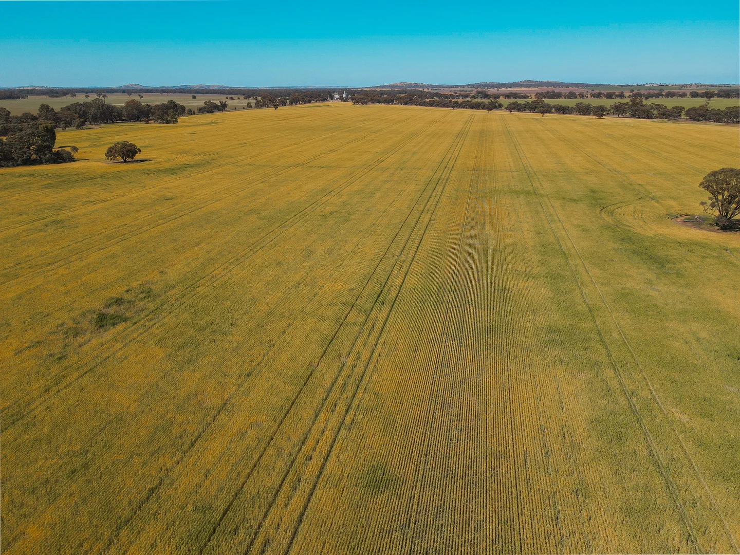 Additional image 17 of Teddywaddy VIC 3527