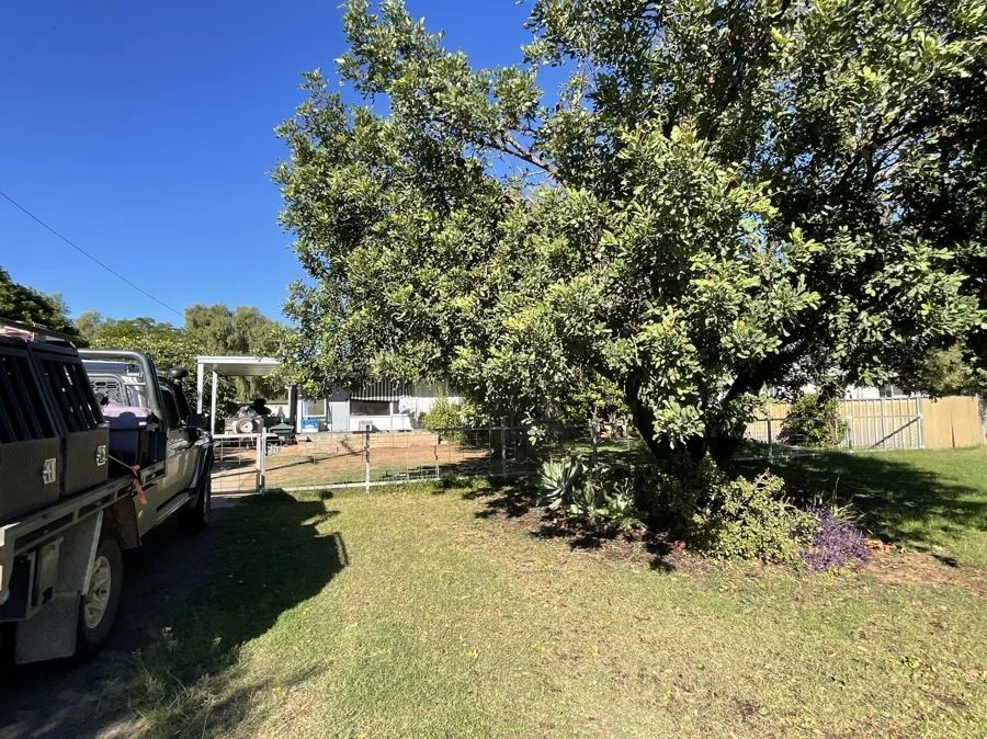 Additional image 10 of 20 Caswell Street, Coonamble NSW 2829