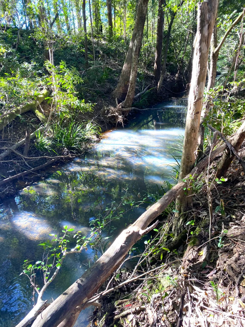 Additional image 19 of 694 Pipeclay Road, Pipeclay NSW 2446