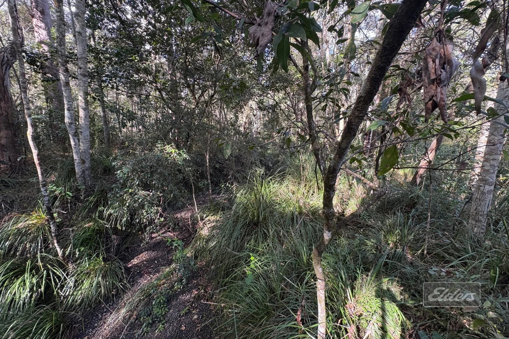 Additional image 6 of Lot 692 Arbortwenty Six Road, Glenwood QLD 4570