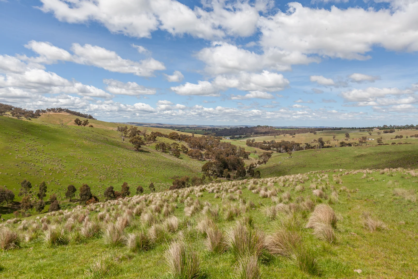 Additional image 6 of 35, 35A, 42 & 42A Romsey Road, Chintin VIC 3756