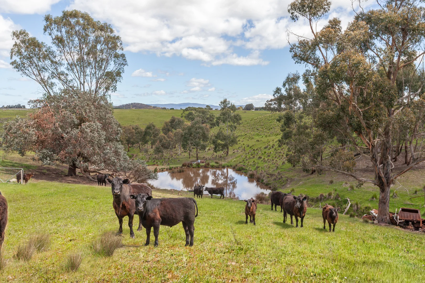 Additional image 12 of 35, 35A, 42 & 42A Romsey Road, Chintin VIC 3756