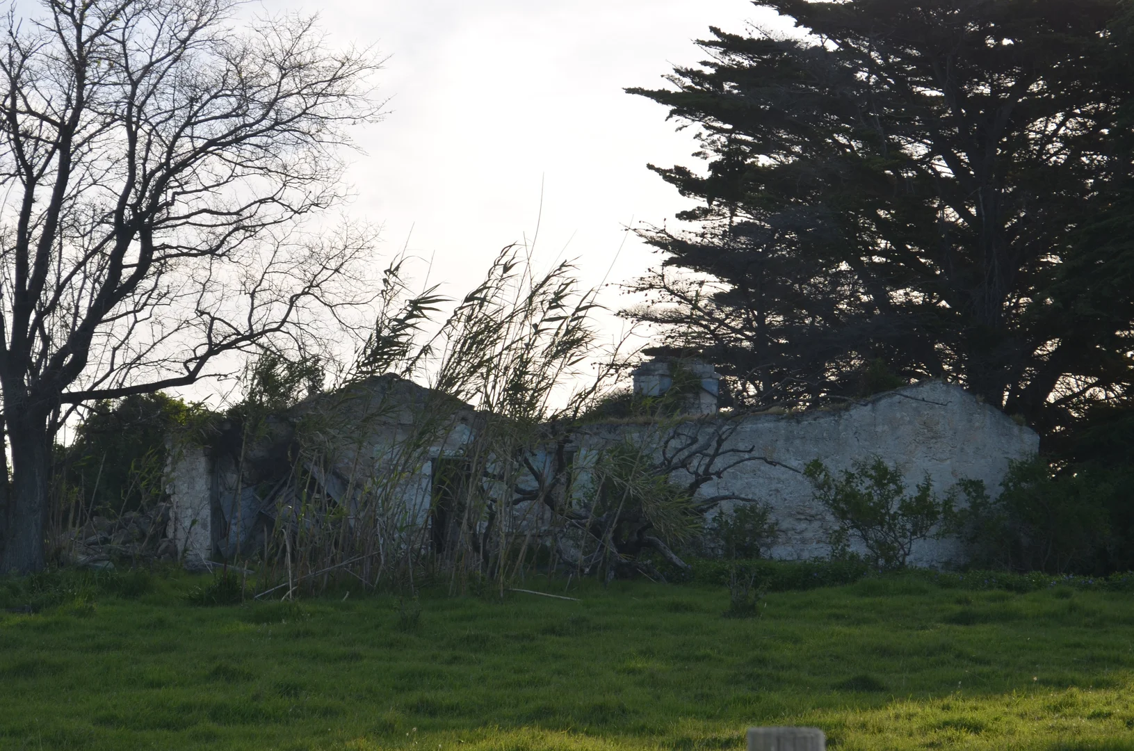 Additional image 11 of Lot 2 & 32 Southern Ports Highway, Robe SA 5276