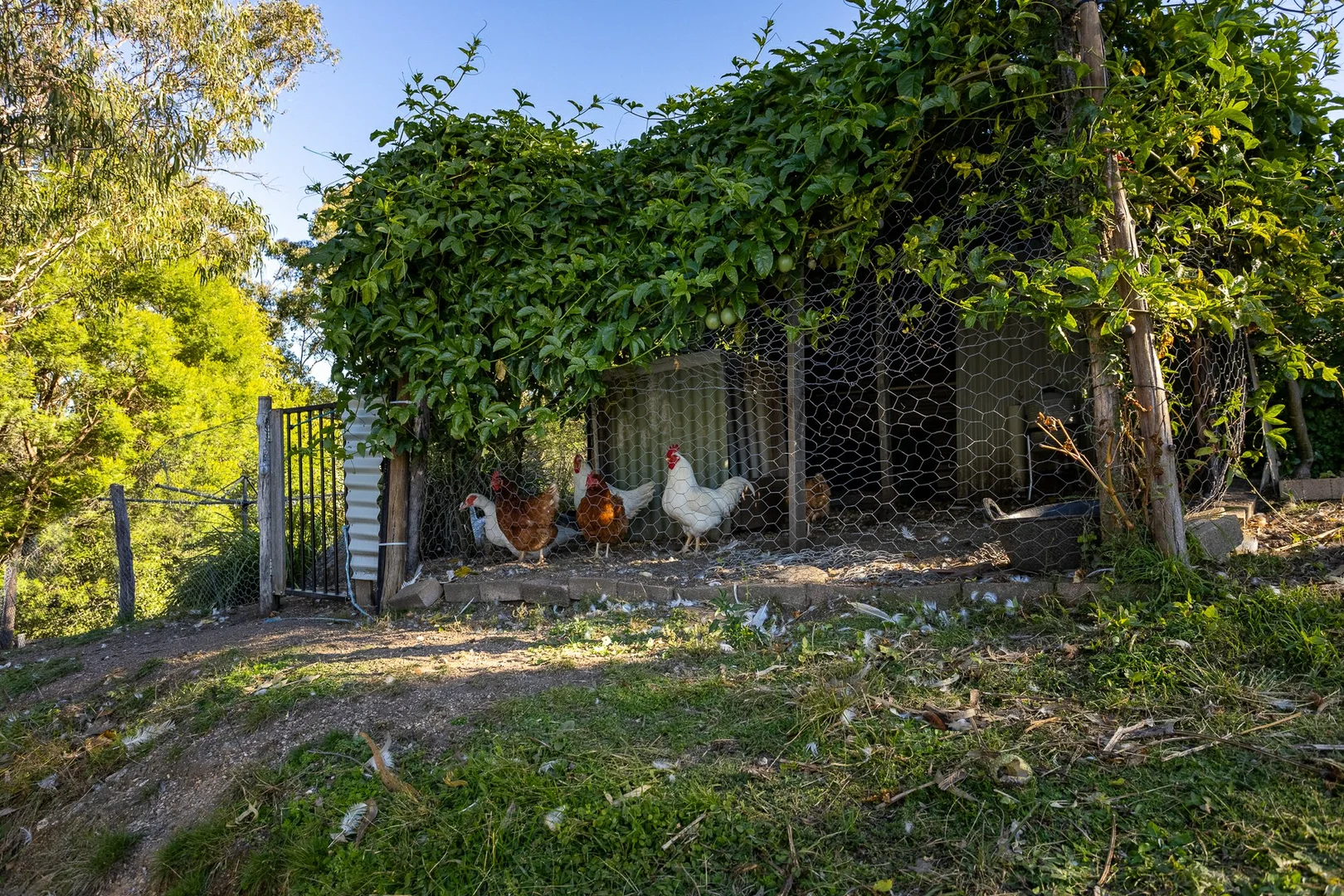 Additional image 16 of 142 Eagles Nest Road, Brogo NSW 2550