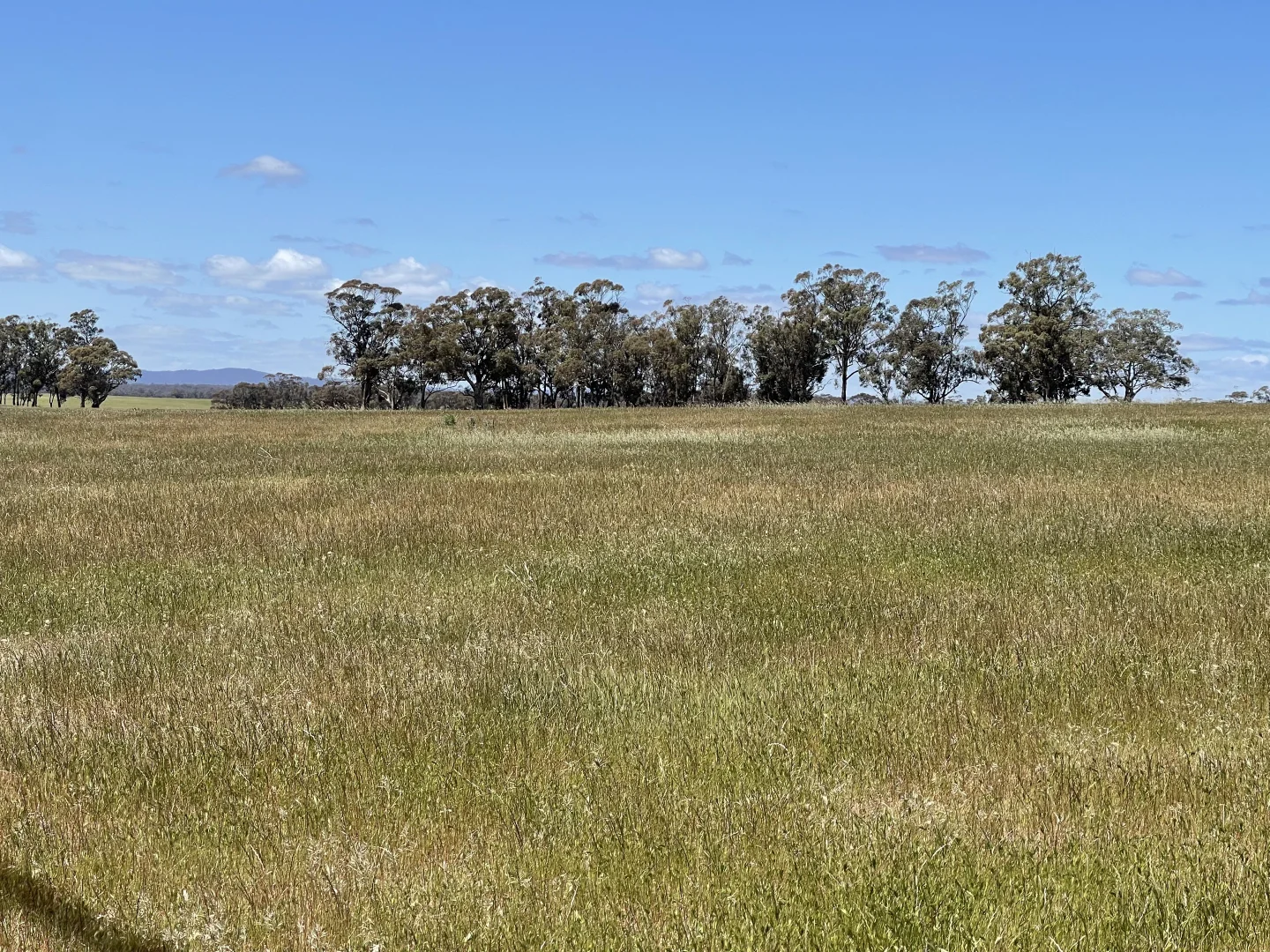 Additional image 24 of 0 Mathison Road, Gre Gre South VIC 3477