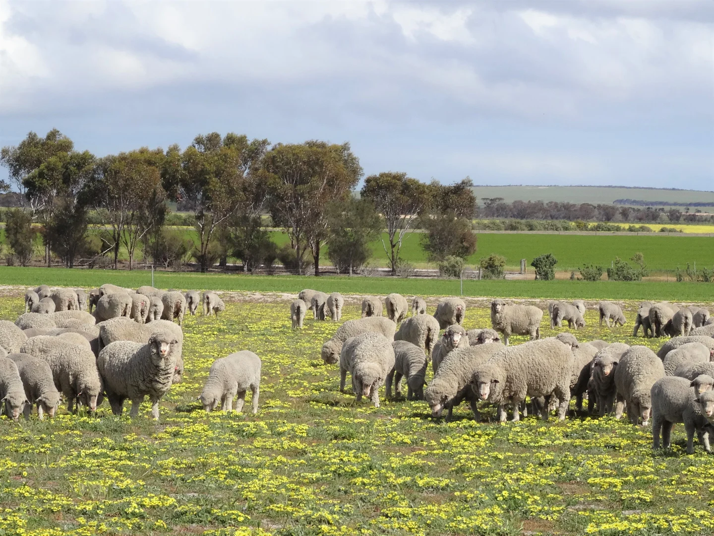 Additional image 18 of 31541 South Coast Highway, Jerramungup WA 6337