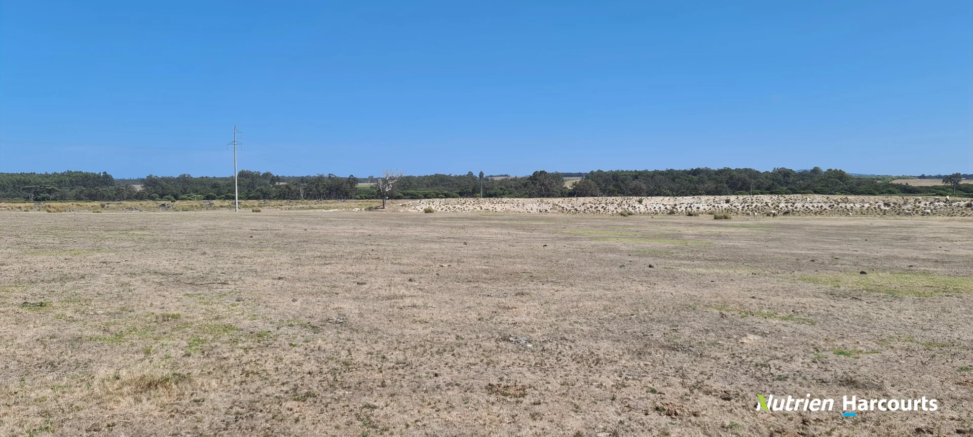 Additional image 31 of 267 Spencer Road, Narrikup WA 6326