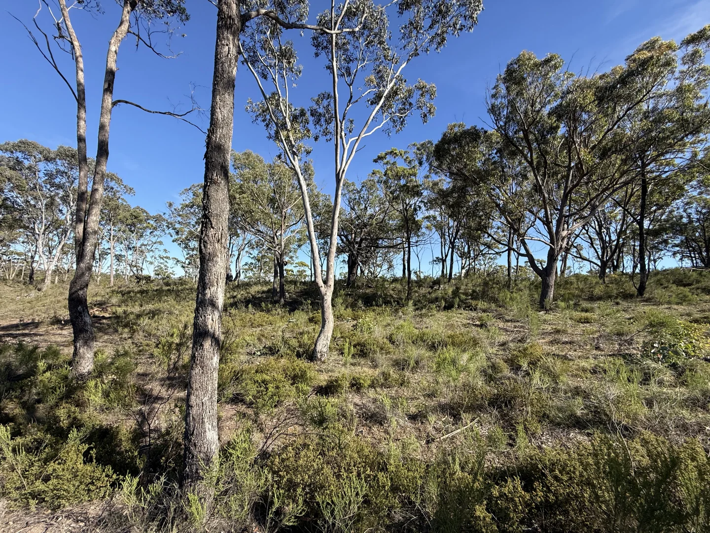 Additional image 4 of 157 Blakney Creek North Road, Bevendale NSW 2581