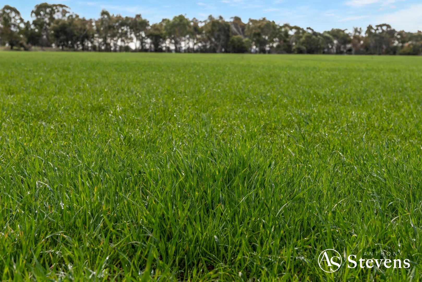 Additional image 30 of 499 Old Wedderburn Road, Slaty Creek VIC 3477