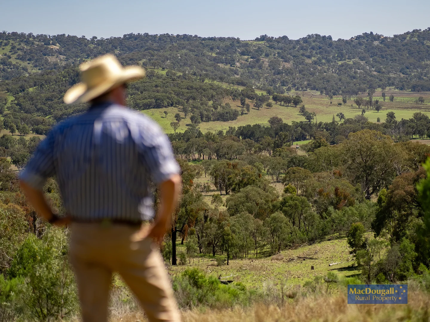 Additional image 22 of 384 Dry Creek Road, Georges Creek NSW 2365