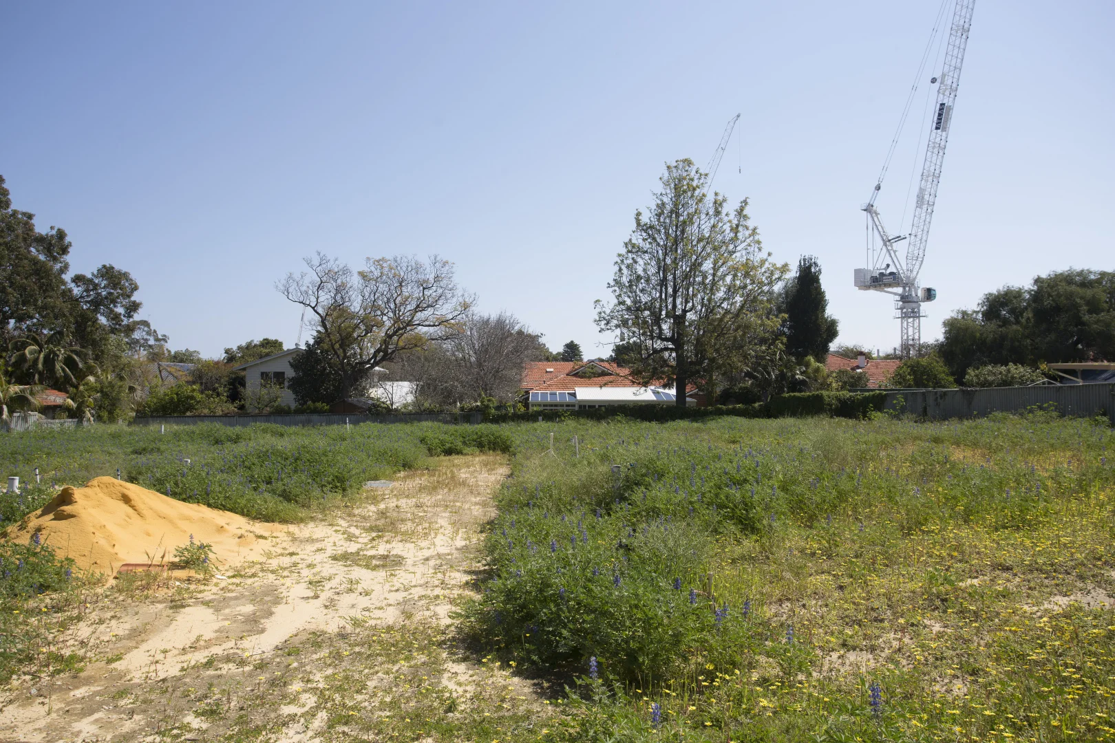 Additional image 4 of 11/11 Webster Street, Nedlands WA 6009