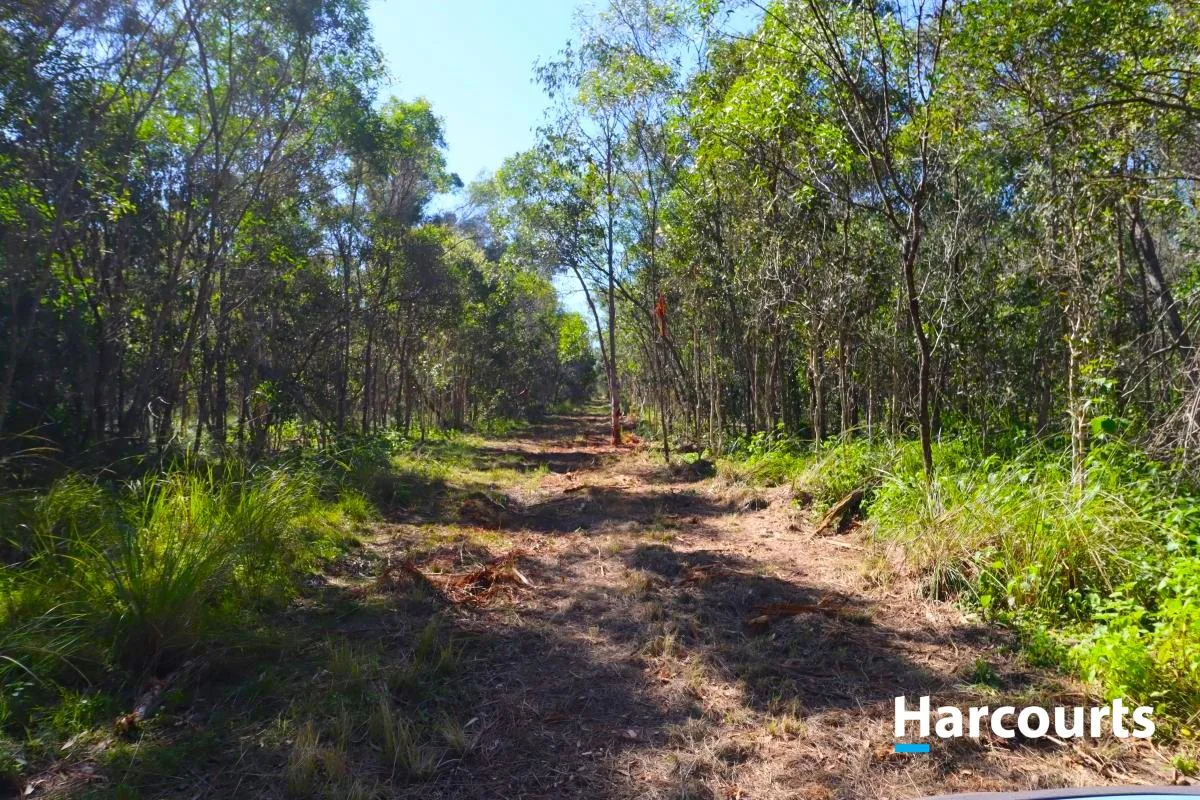 Additional image 3 of LOT 900 BROADLANDS ROAD, Buxton QLD 4660