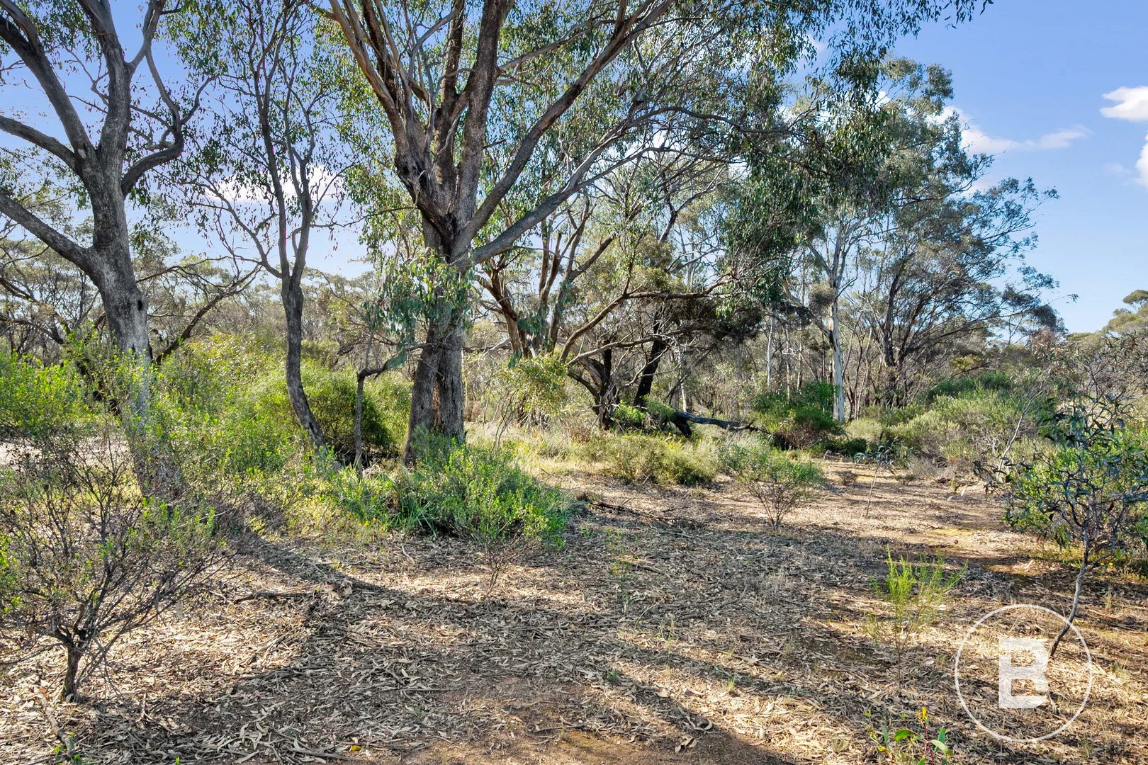Additional image 4 of CA 127F McDonald Road, Llanelly VIC 3551