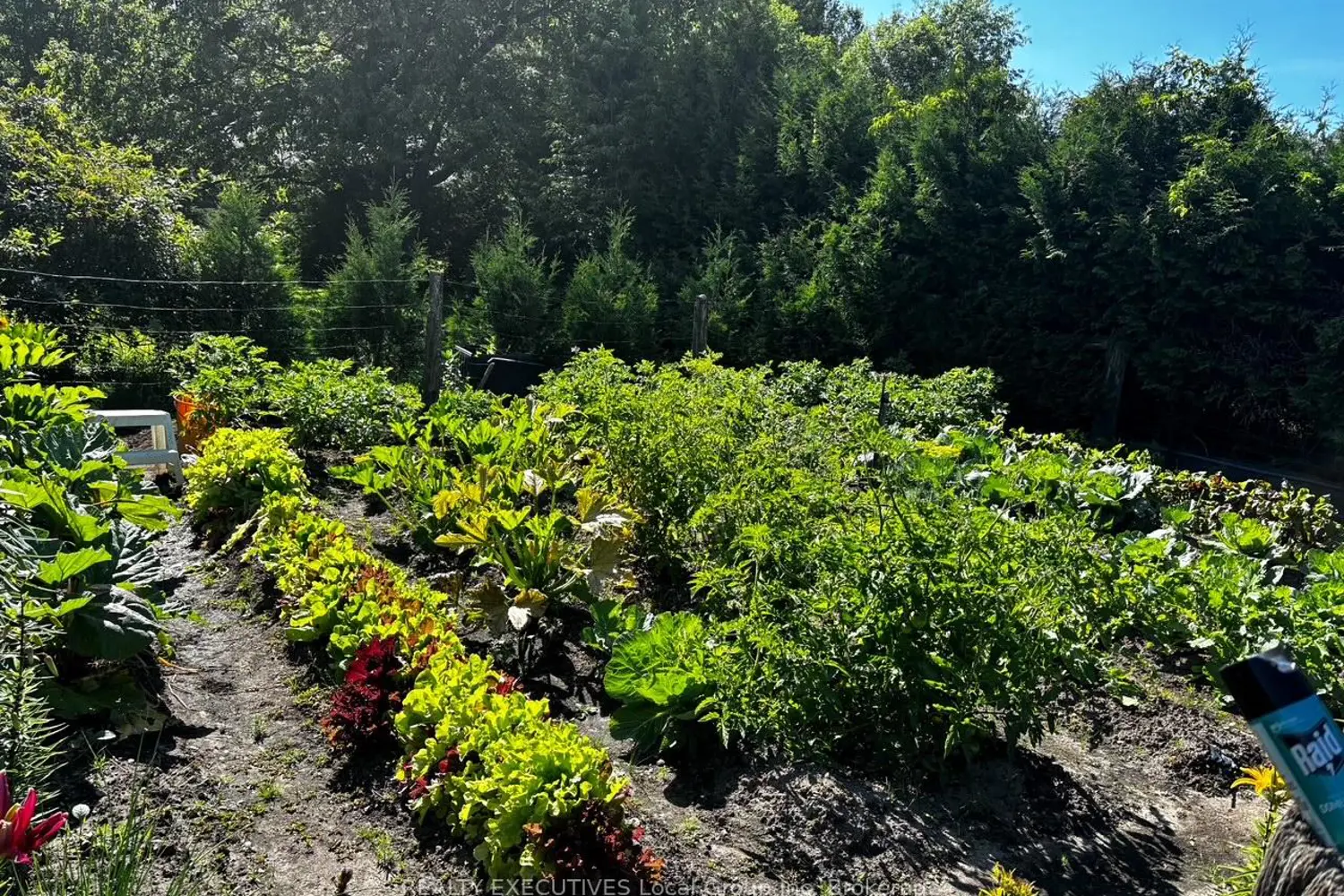 Additional image 6 of 46 Paget Street