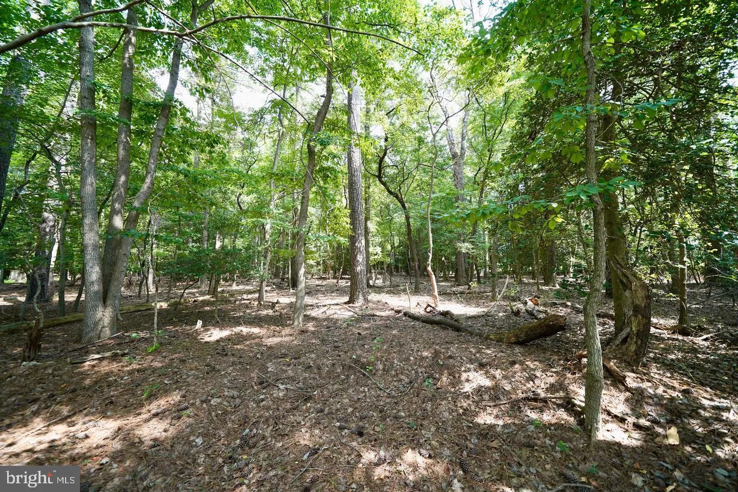 Additional image 21 of Lot 1 Mount Joy Road, Millsboro, DE 19966