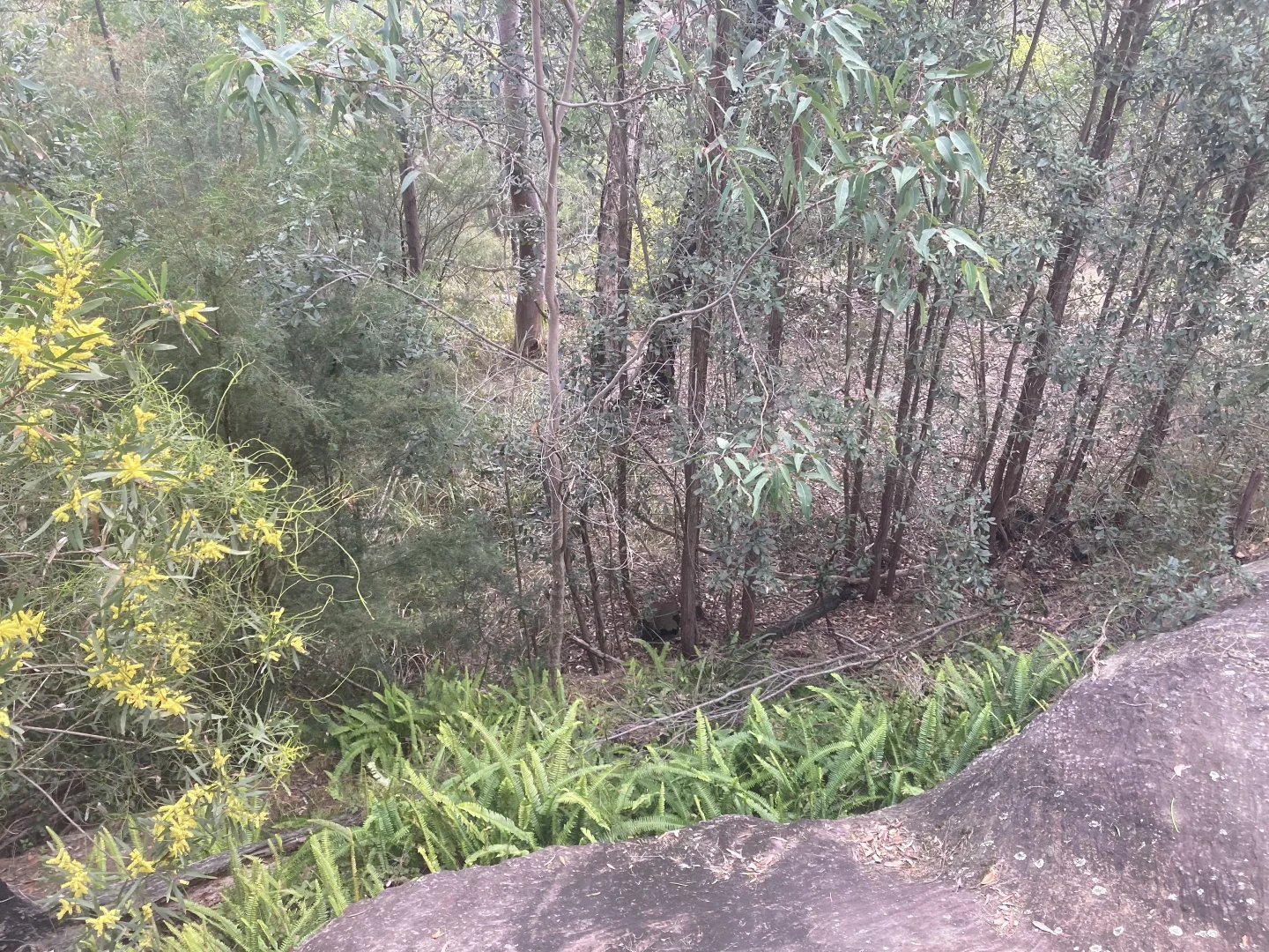 Additional image 10 of 23 Buena Vista Road, Winmalee NSW 2777