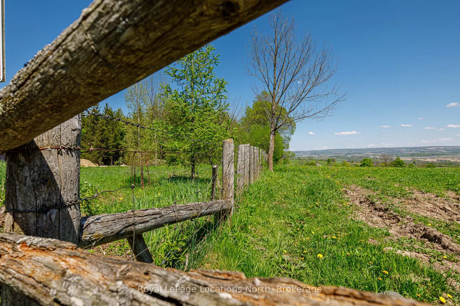 Additional image 14 of 23 3Rd Line D Line