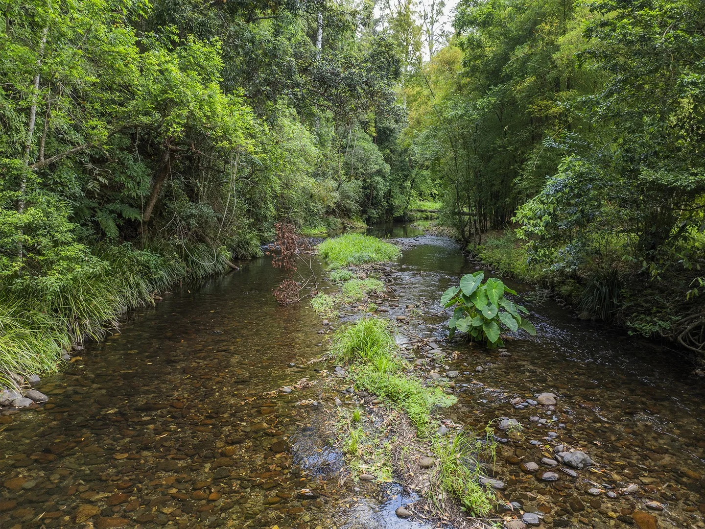 Additional image 2 of 1824 Darkwood Road, Darkwood NSW 2454