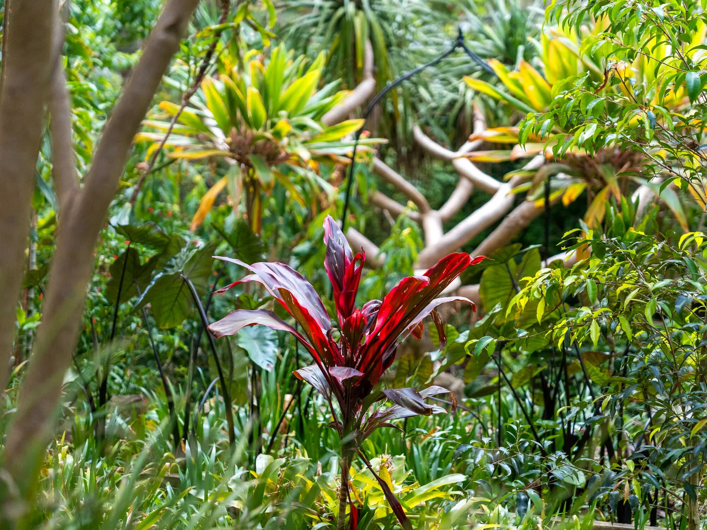 Additional image 36 of 25-27 Riverview Ave, Dangar Island NSW 2083