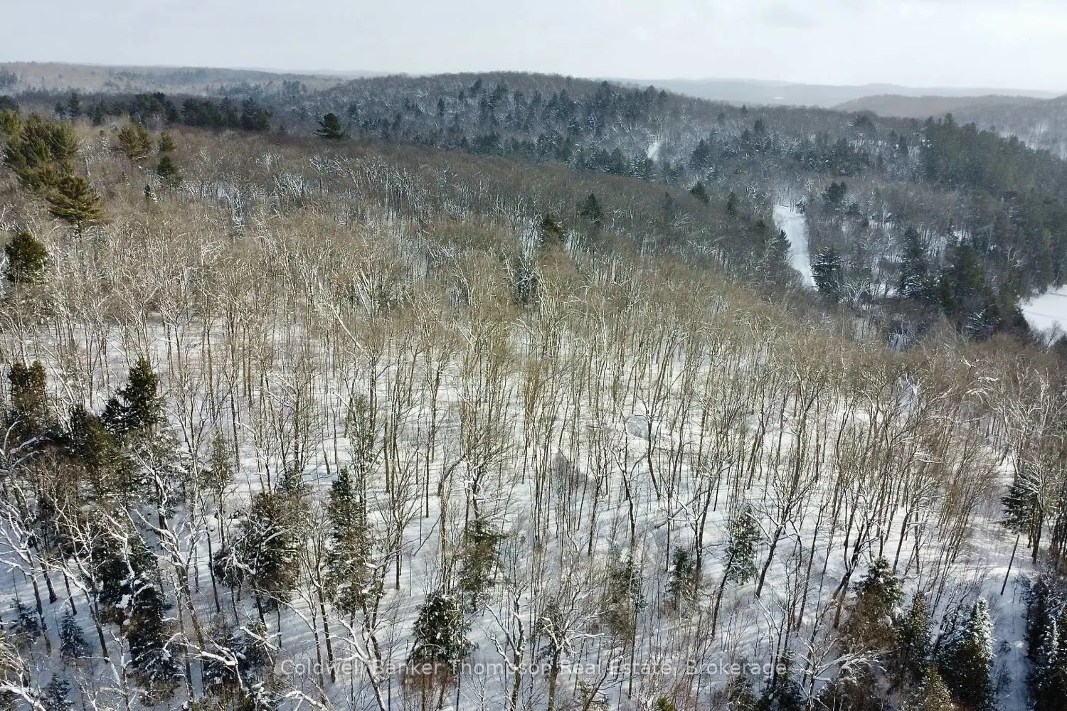 Additional image 6 of 265 Sharon Drive