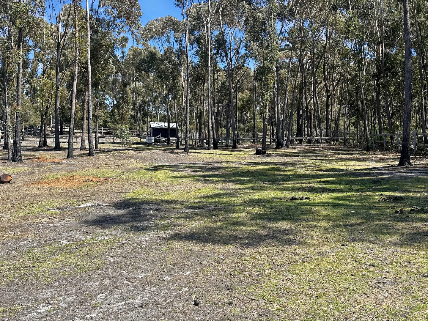 Additional image 21 of 80 McManus Drive, Falmouth TAS 7215