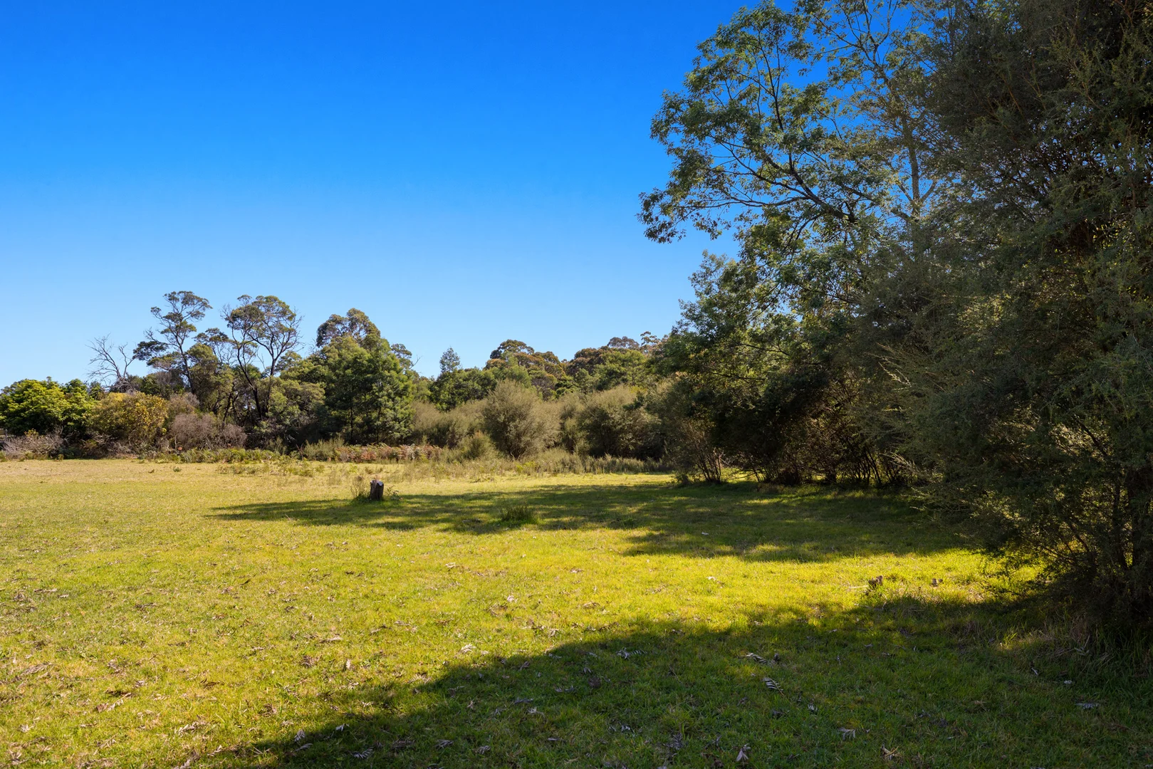 Additional image 3 of 65 Albatross Road, Kalimna VIC 3909