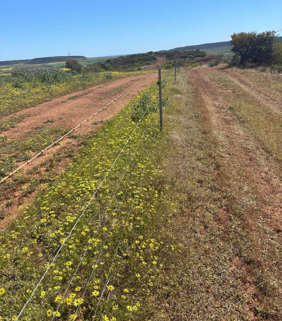 Additional image 15 of 9500 Chapman Valley Road, Narra Tarra WA 6532