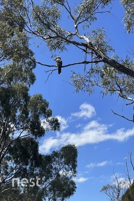 Additional image 13 of 156B Apex Point Road, White Beach TAS 7184