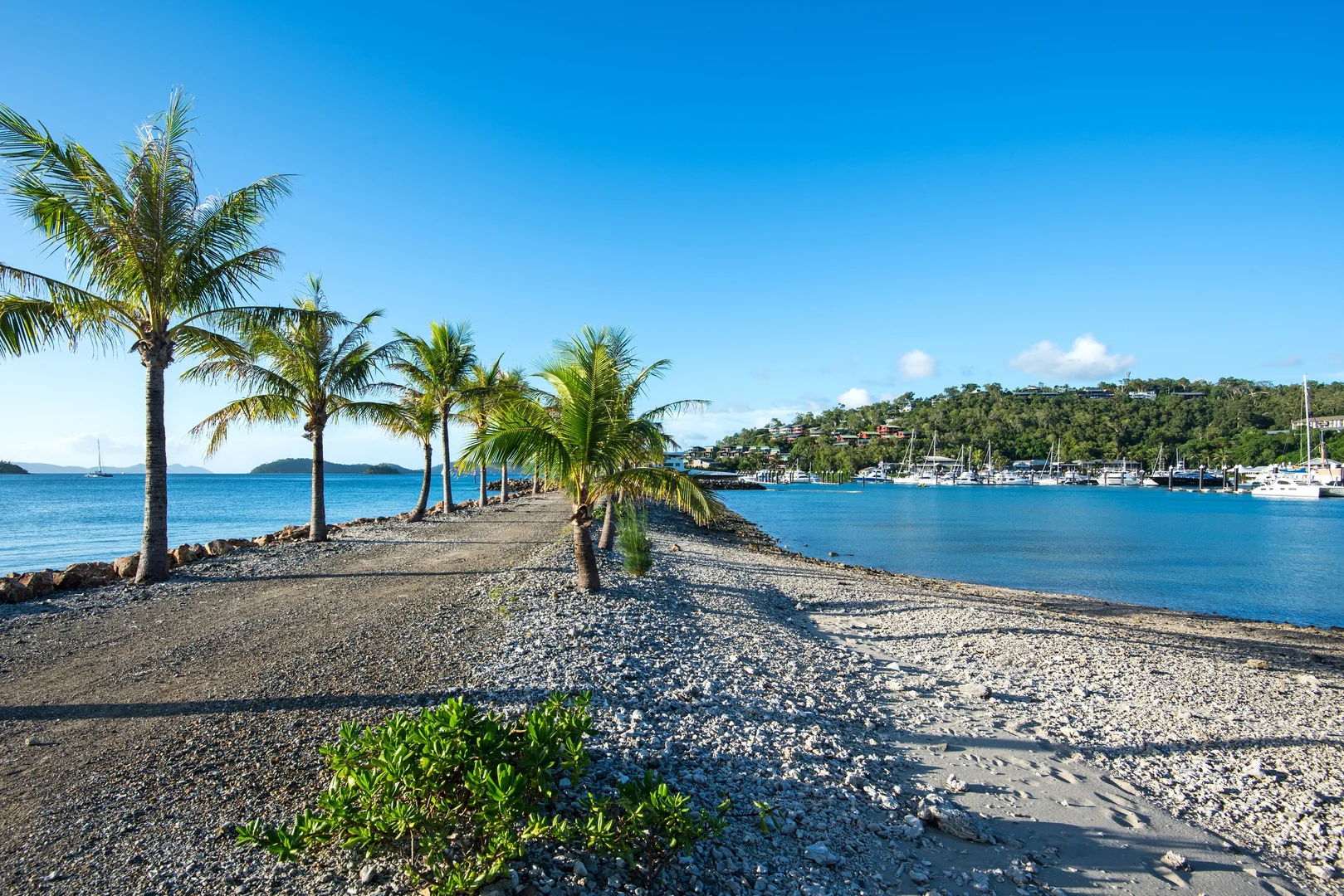 Additional image 3 of Lot LRC/3 Cycad Close, Hamilton Island QLD 4803