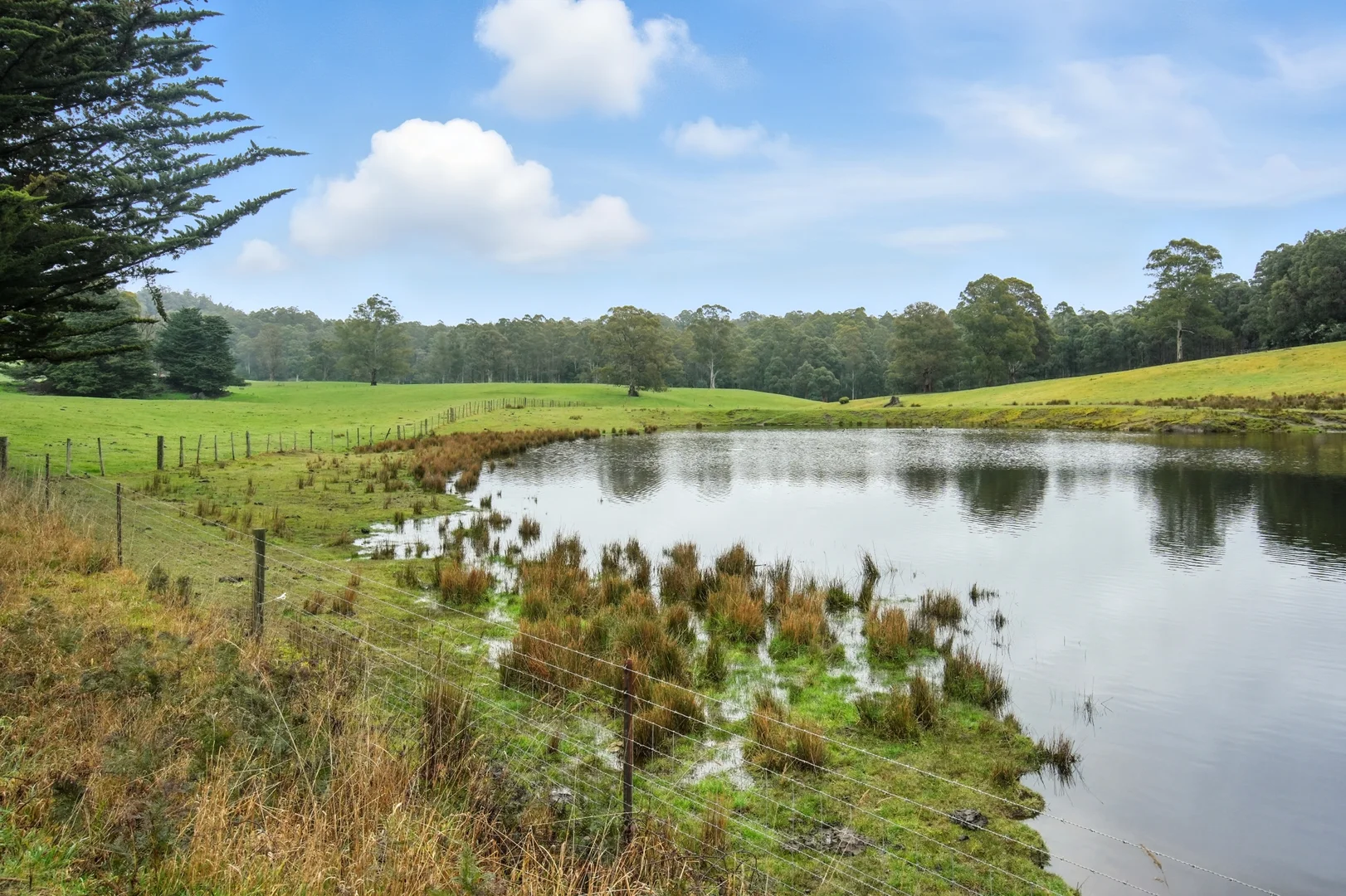 Additional image 16 of 64 Mersey Forest Road, Liena TAS 7304