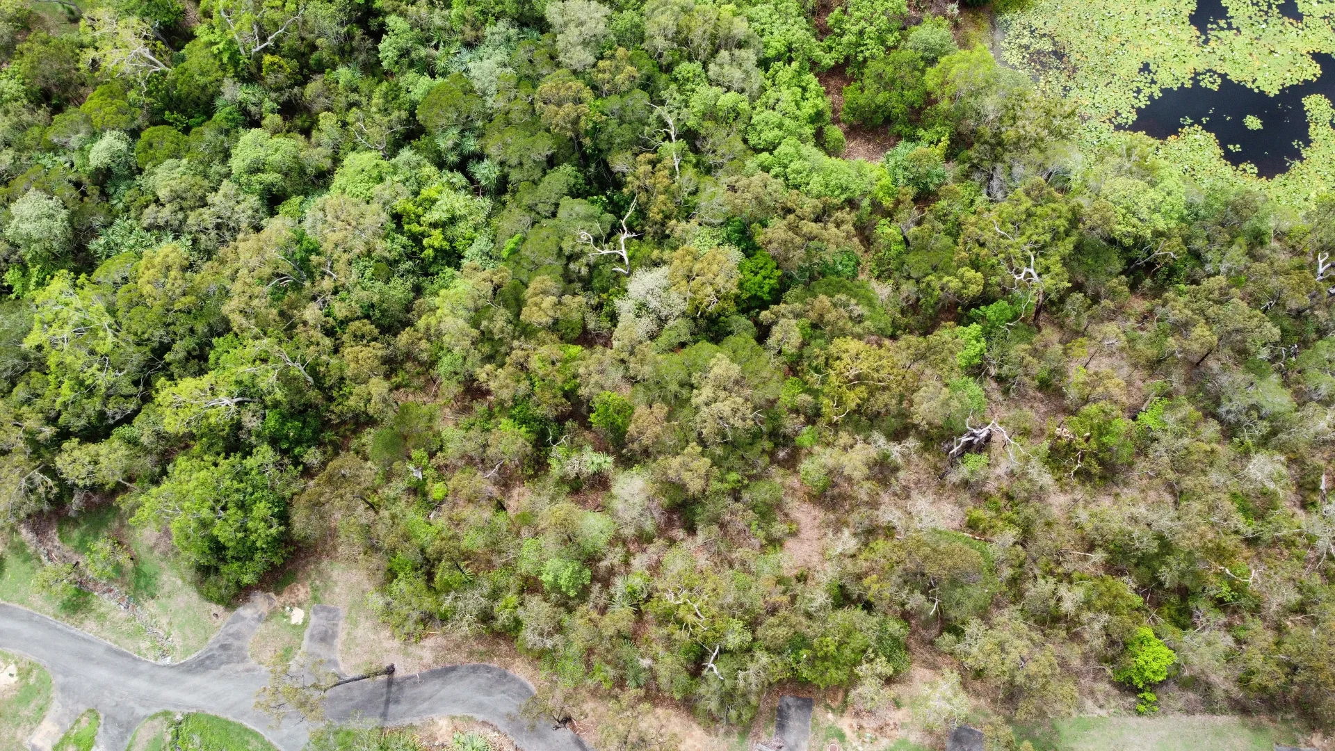 Additional image 8 of Lot 19 Conder Pde ( Bangaru ), Laguna Quays QLD 4800
