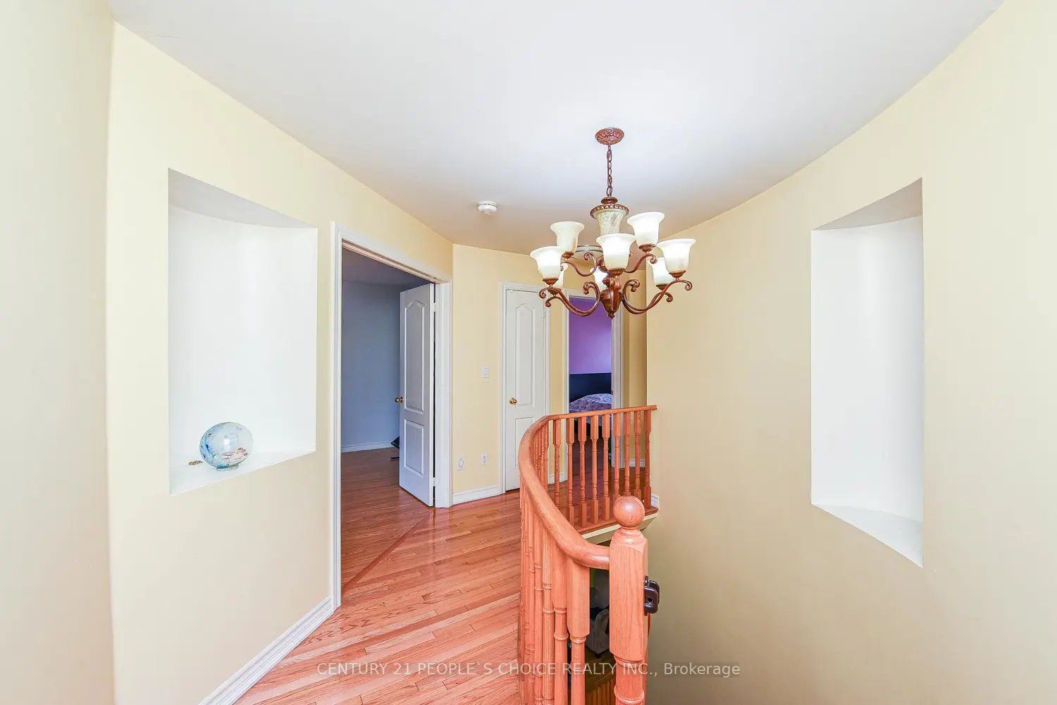 Additional image 12 of 50 Severin Street