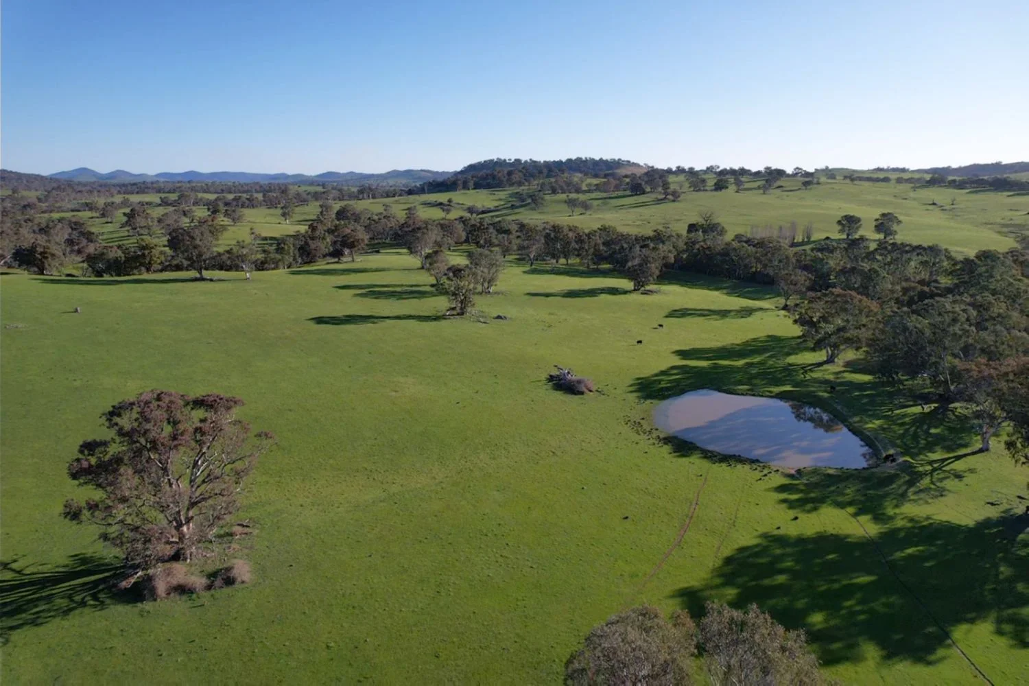 Additional image 10 of 0 Illalong Road, Bookham NSW 2582