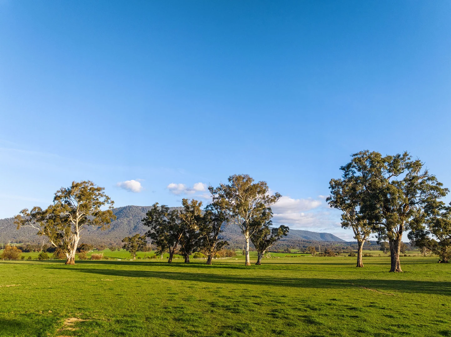 Additional image 2 of 1036 Taggerty - Thornton Road, Thornton VIC 3712