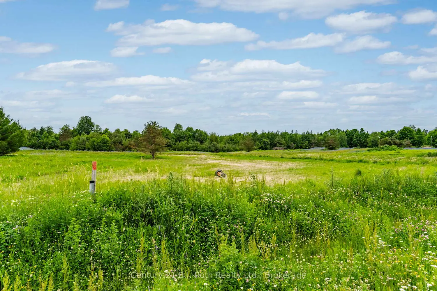 Additional image 8 of 4 Rumble Court