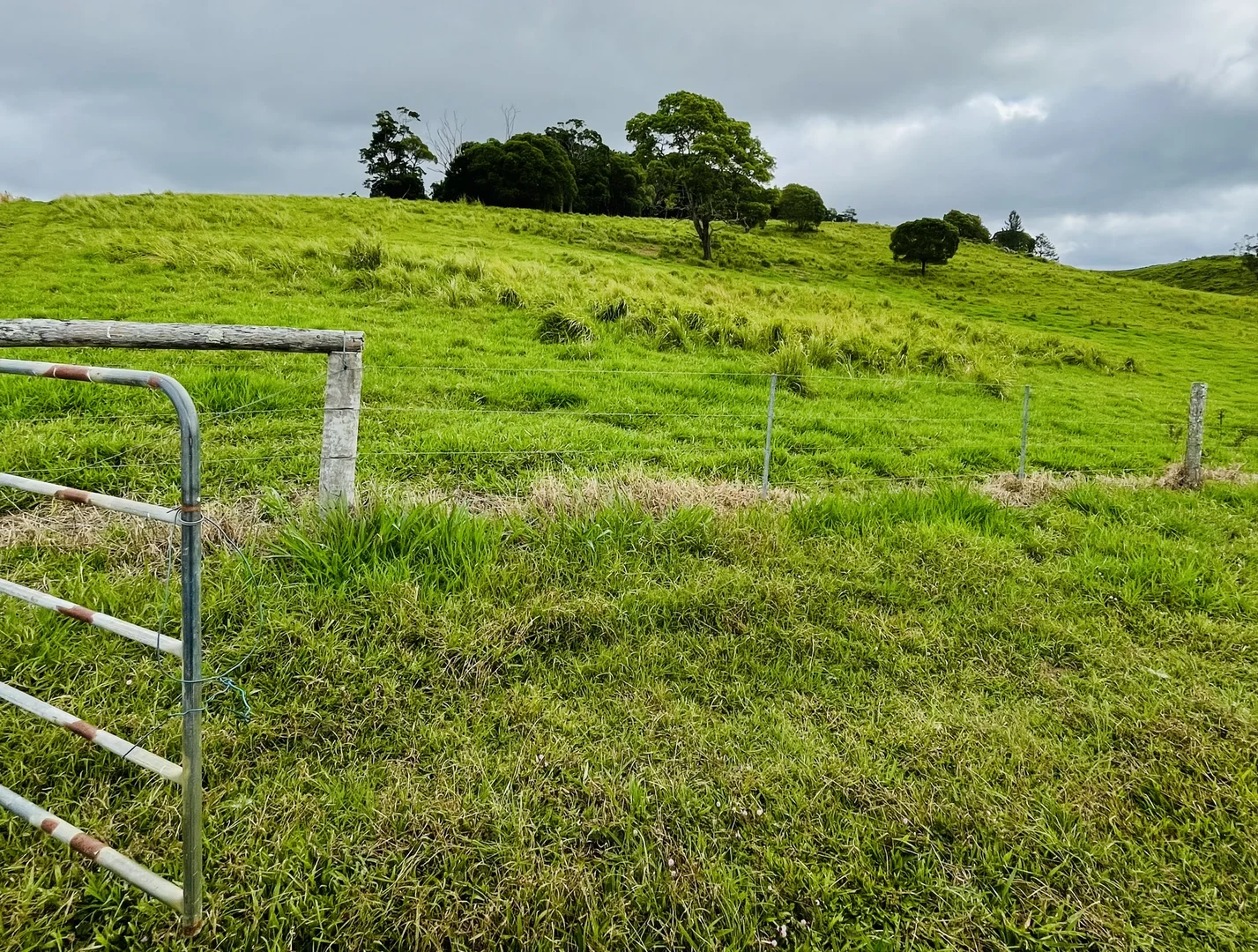 Additional image 2 of 1297 Mossman - Mt Molloy Rd, Julatten QLD 4871