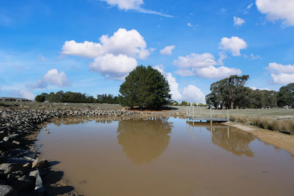 Additional image 5 of 17 Barbara Court, Haddon VIC 3351