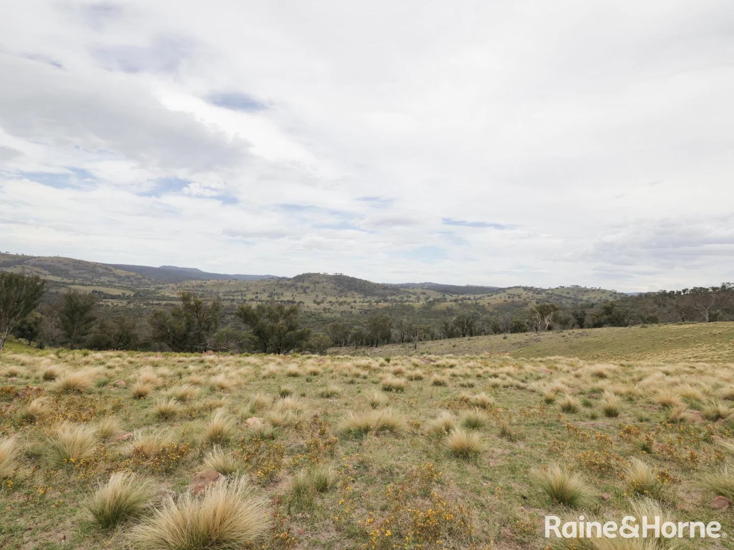 Additional image 17 of 260 & 262 Alpha Road, Tambaroora NSW 2850