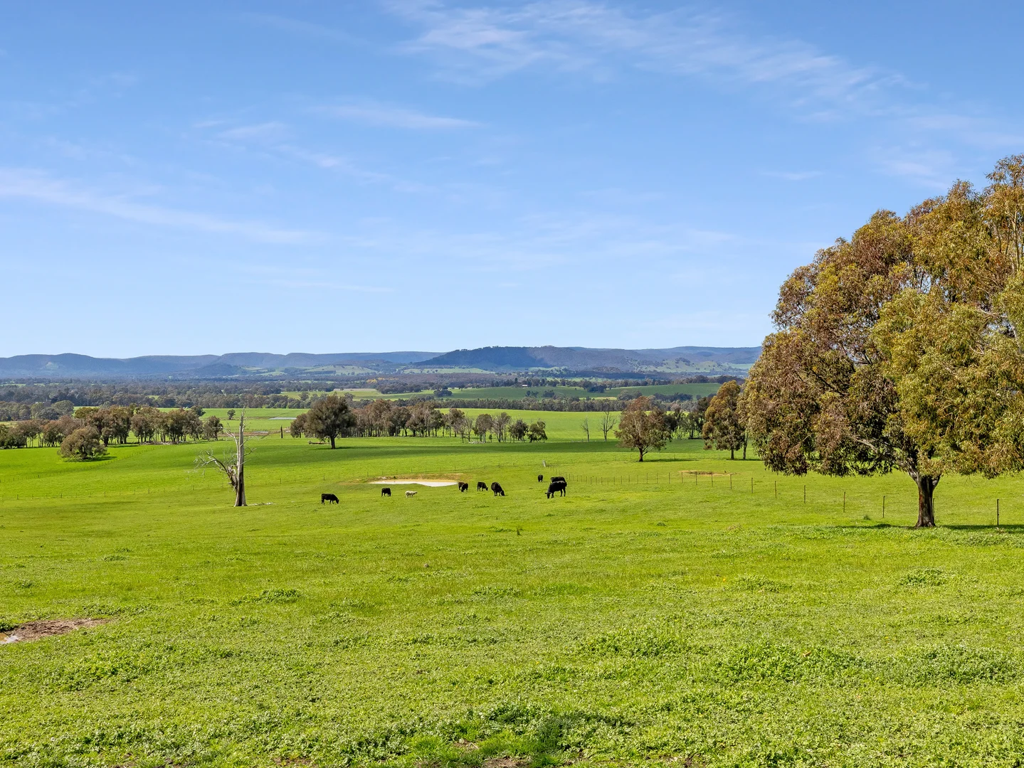 Additional image 25 of 49 Klicitat Lane, Lima VIC 3673