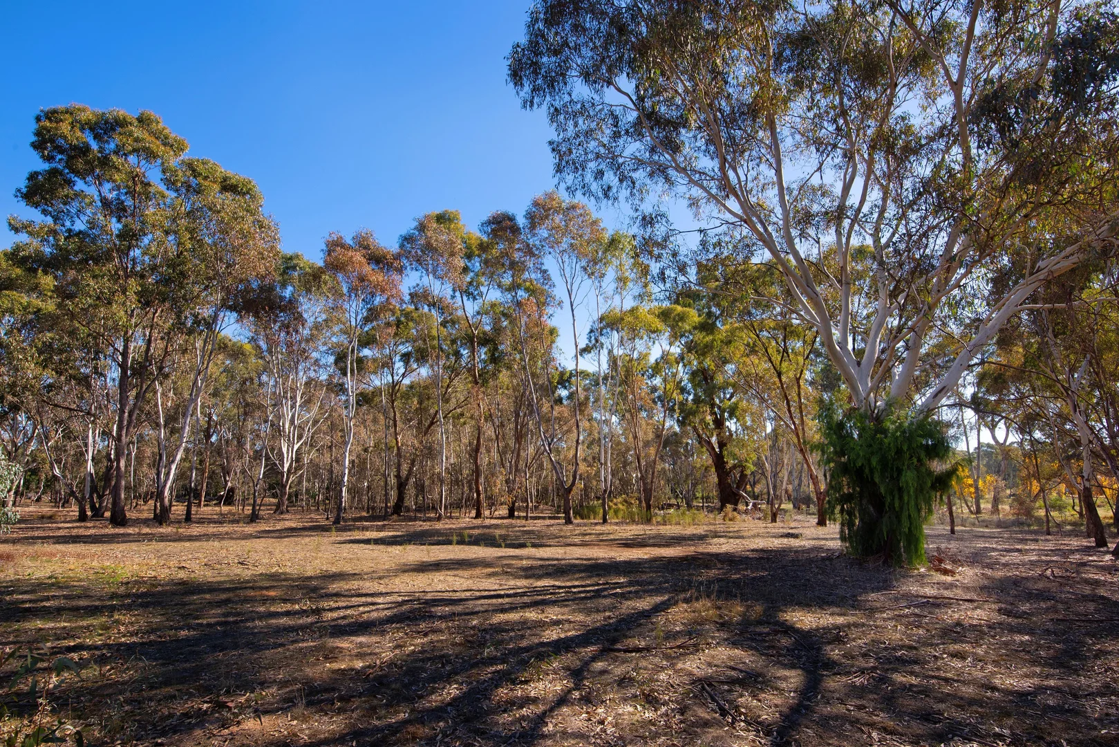 Additional image 2 of 13a Homebush Drive, Junortoun VIC 3551