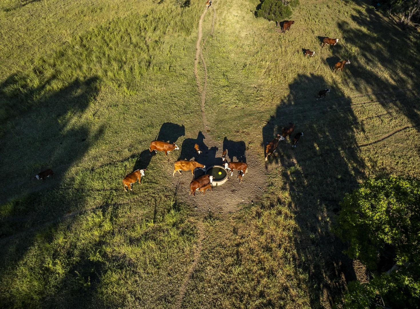 Additional image 14 of 833 Fosters Road, Guluguba QLD 4418