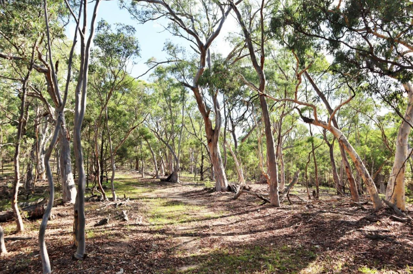 Additional image 16 of 464 Tally Ho, Braidwood NSW 2622