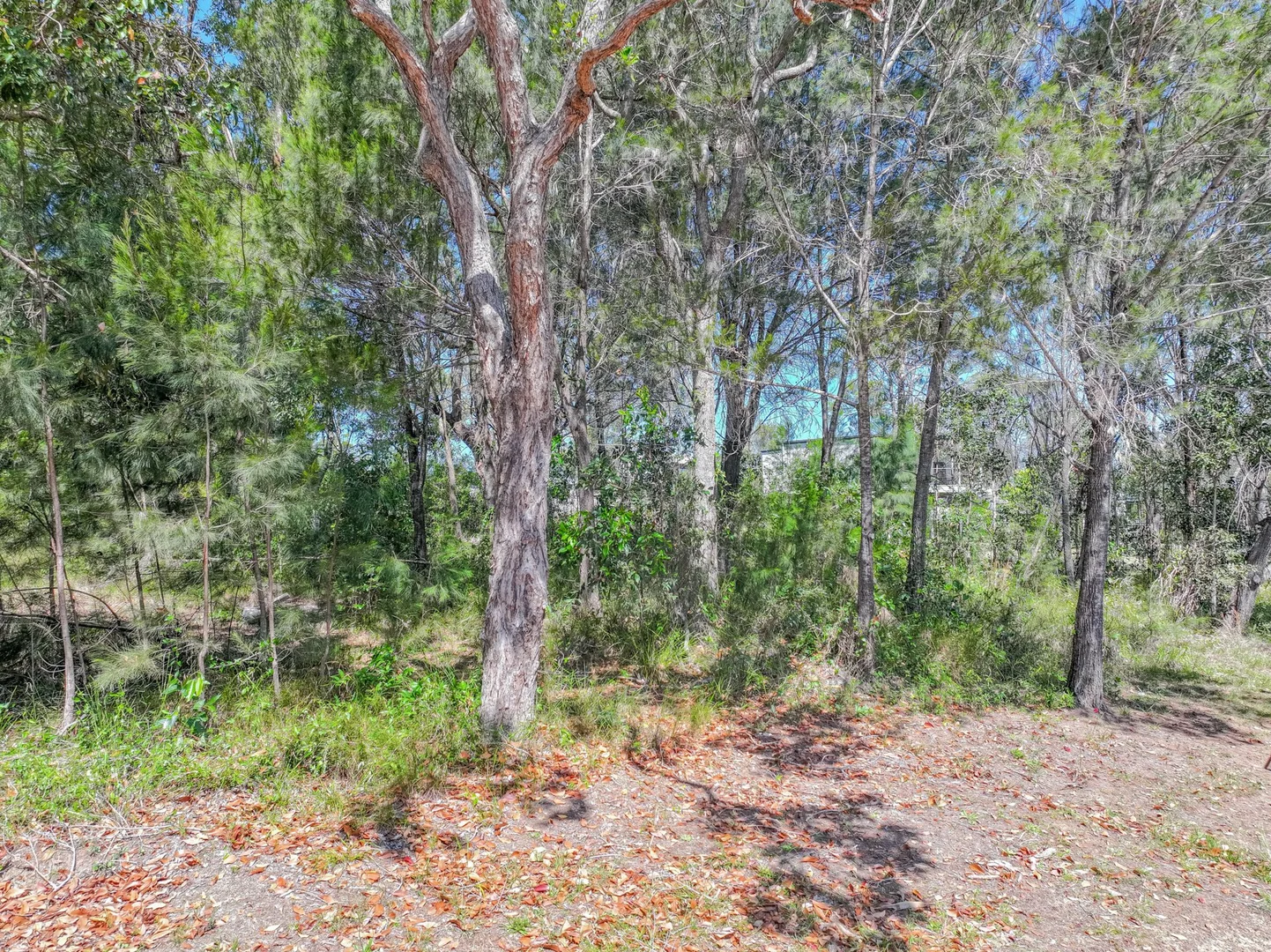 Additional image 5 of 47 Tenanne Street, Russell Island QLD 4184