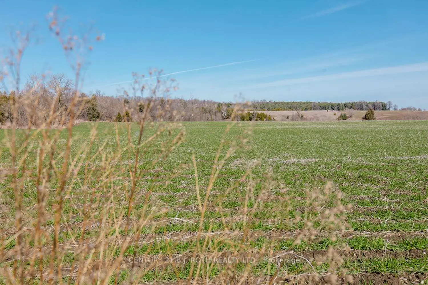 Additional image 19 of 7468 25Th Side Road