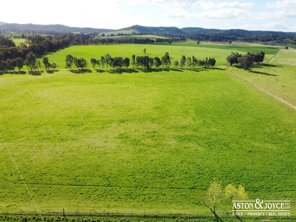 Additional image 31 of 3378 Mid Western Highway, Grenfell NSW 2810