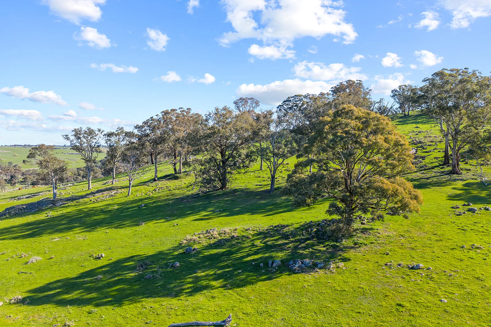 Additional image 19 of 1432 Lachlan Valley Way, Laverstock NSW 2582