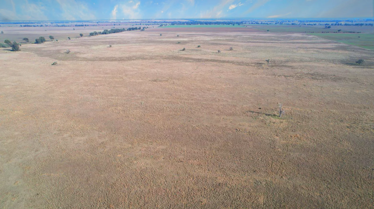 Additional image 5 of Part "Quamby" 605 Mccaskies Lane, Girral NSW 2669