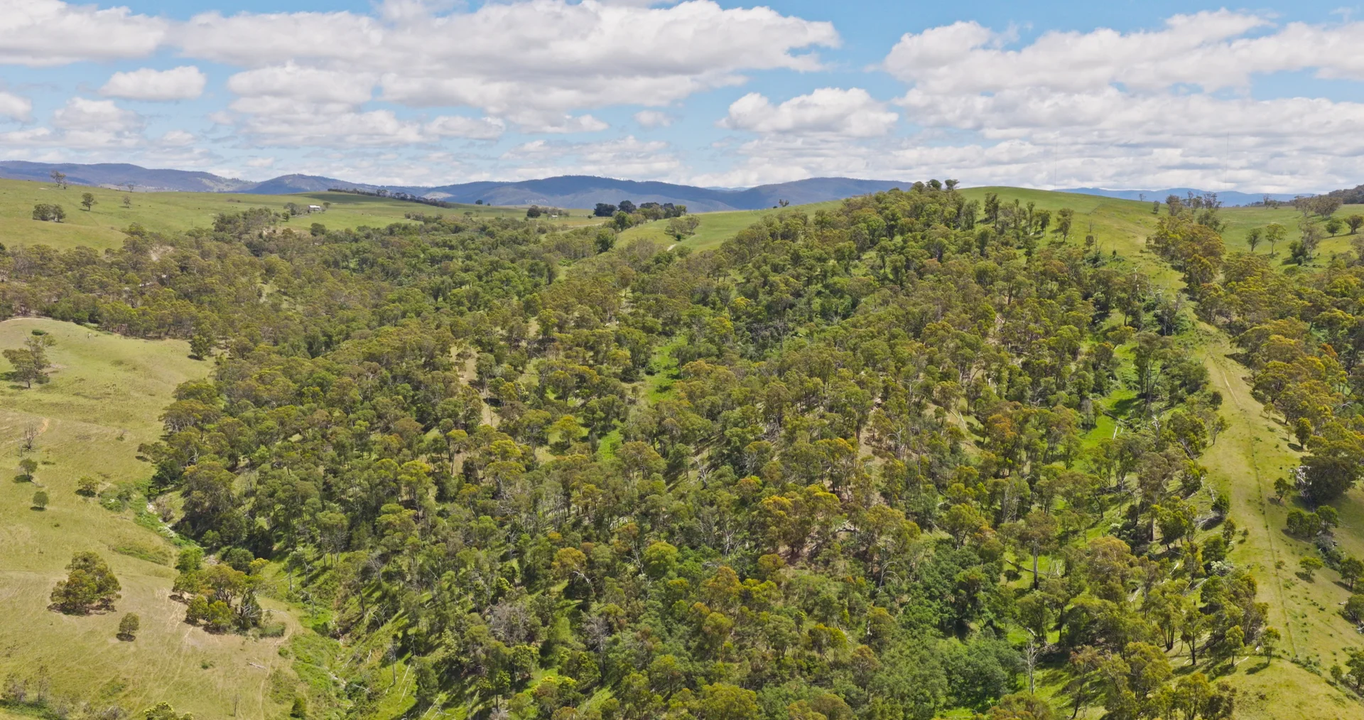 Additional image 15 of Lot 2 - 289 Tongio Gap Road, Tongio VIC 3896